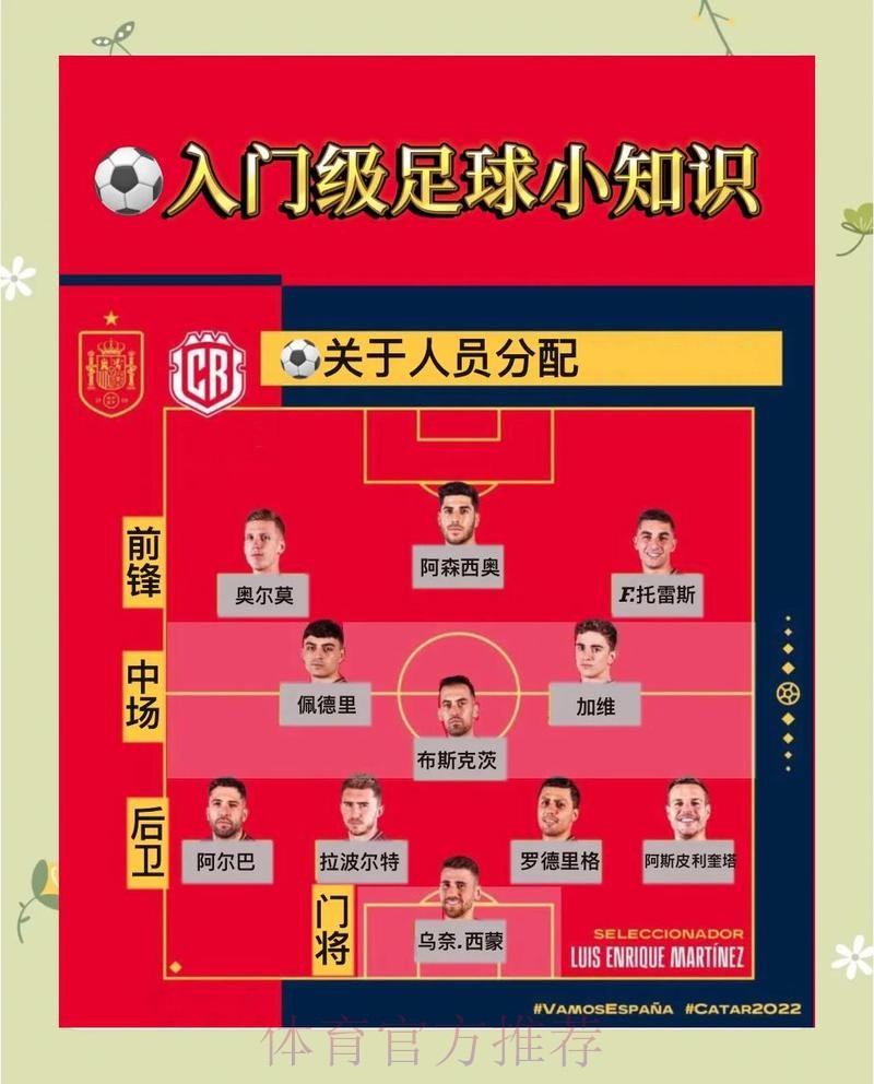 世界杯热门投注安全策略的全面深入解读